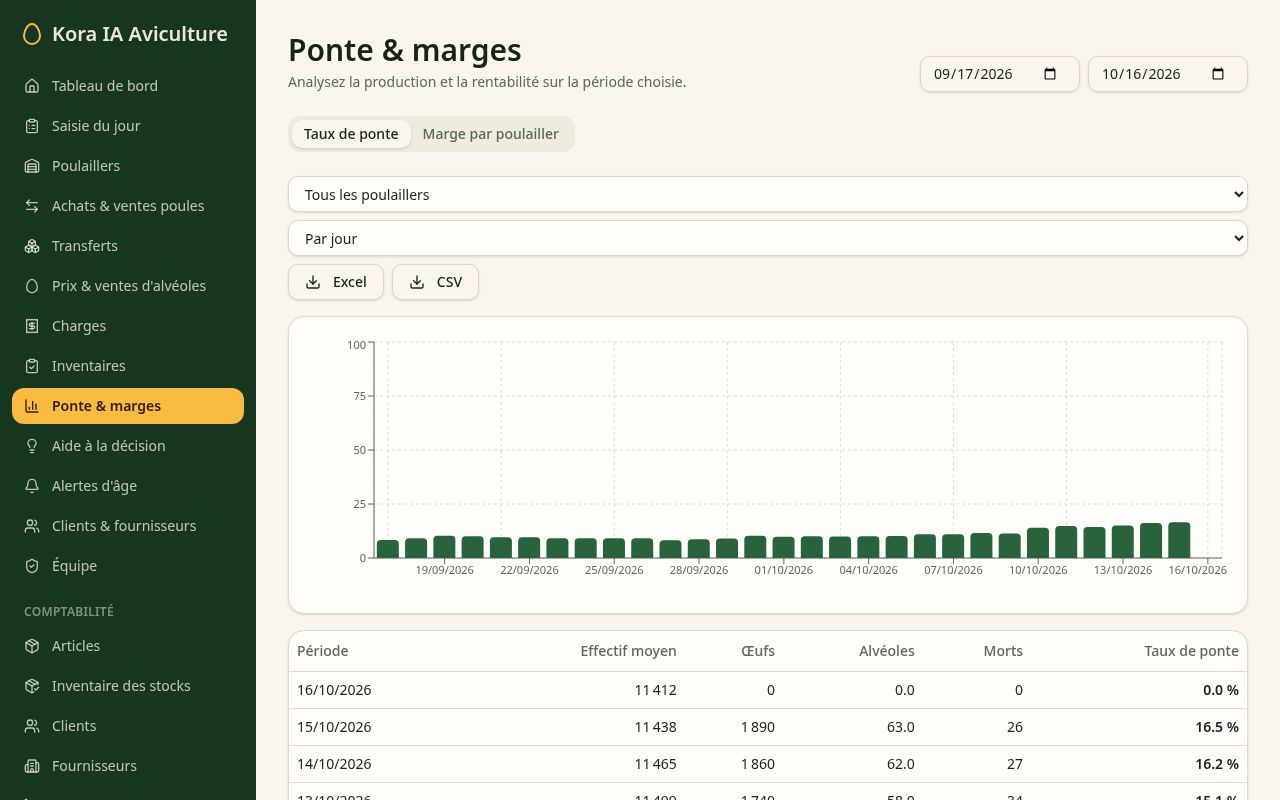 Ponte & marges
