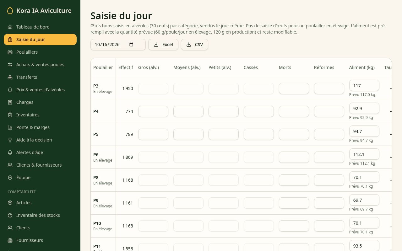 Saisie du jour